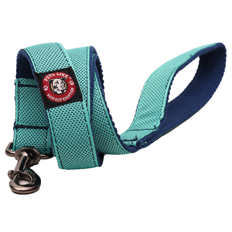     			pets like Blue Leash ( Small )