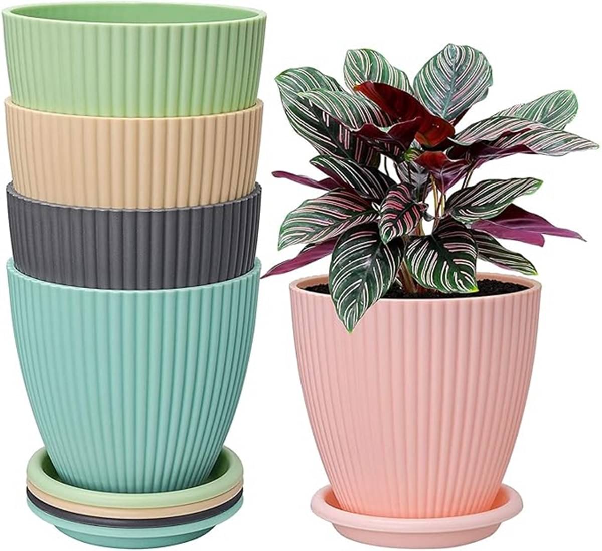     			iview kitchenware Multicolor Plastic Flower Pot ( Pack of 5 )