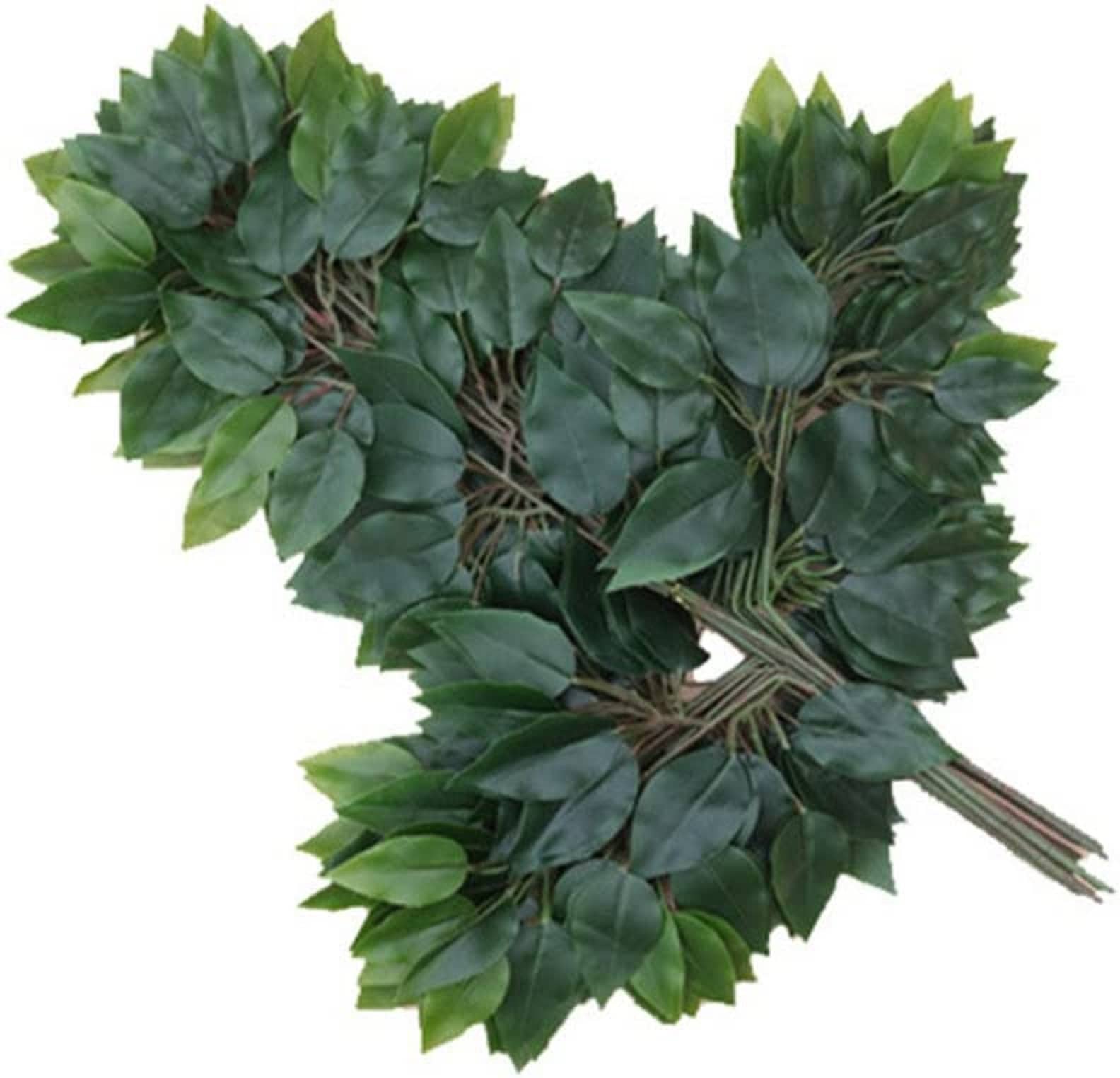 Green plant indoor - Green Wild Artificial Flowers Bunch ( Pack of 12 )