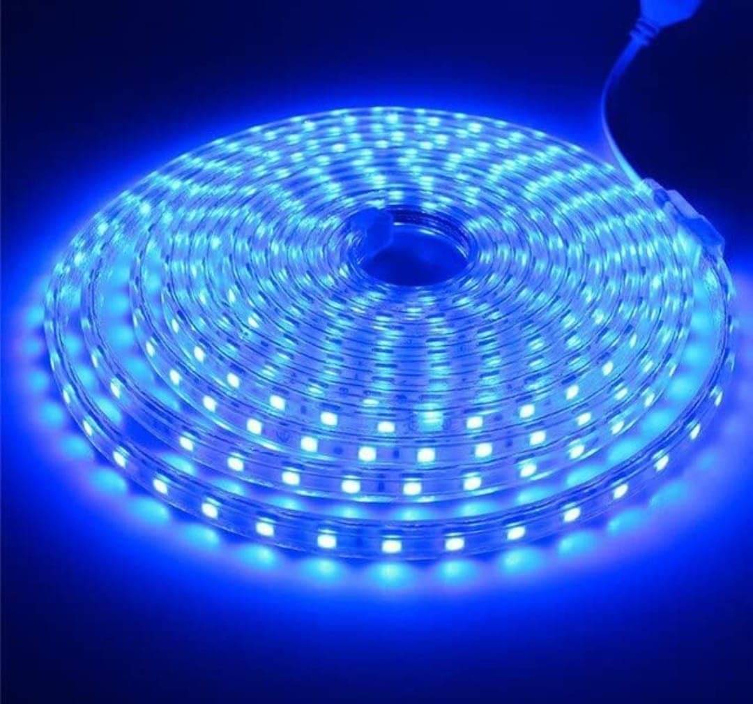     			SPARKWORLD Blue 5M LED Strip ( Pack of 1 )