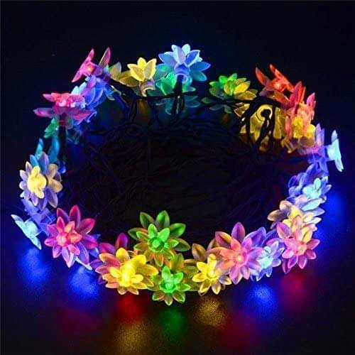     			SPARKWORLD Multicolor 3M String Light ( Pack of 1 )