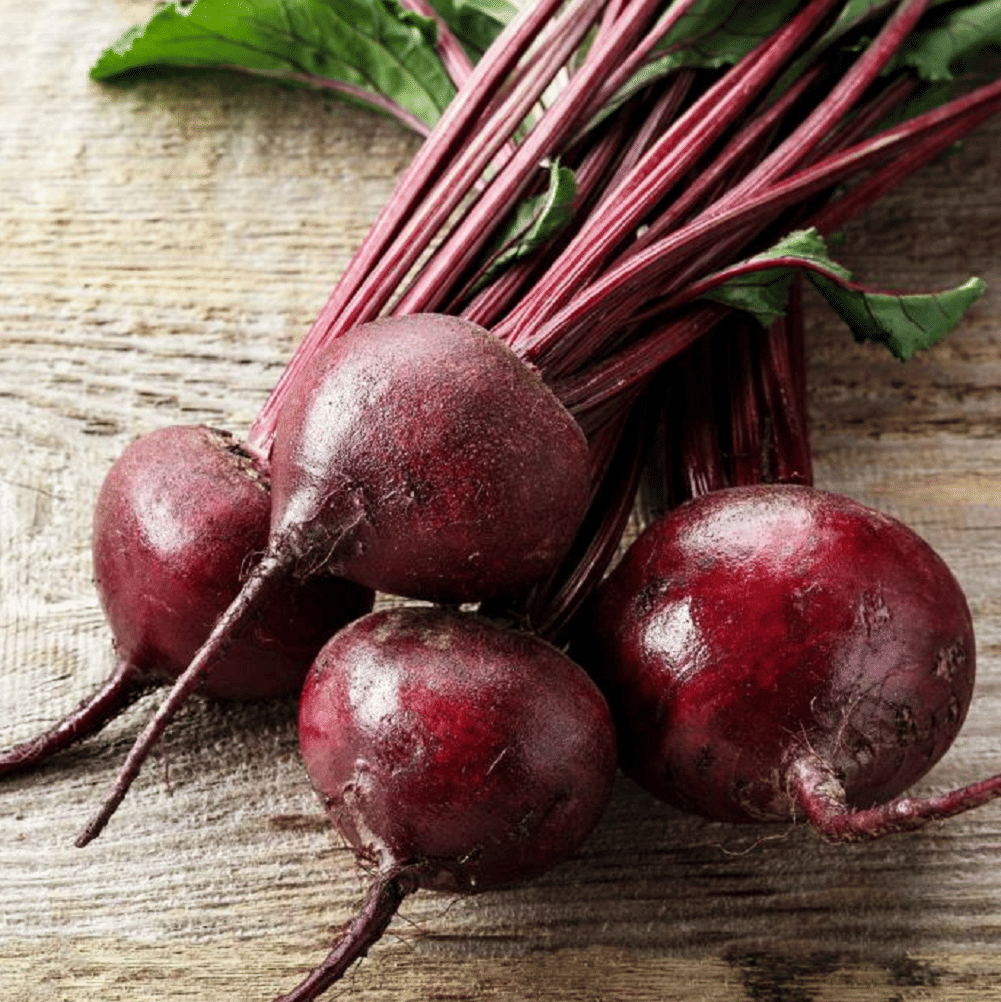     			Jignisha Seeds Hybrid Chukandar Vegetable ( 50 Seeds )