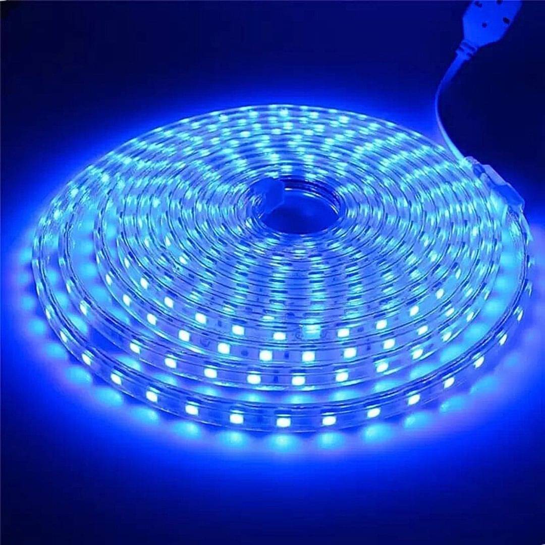     			SPARKWORLD Blue 10 Mtr LED Strip ( Pack of 1 )