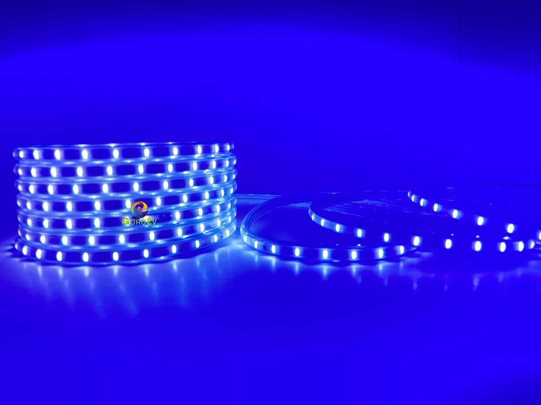     			SPARKWORLD Blue 10 Mtr LED Strip ( Pack of 1 )