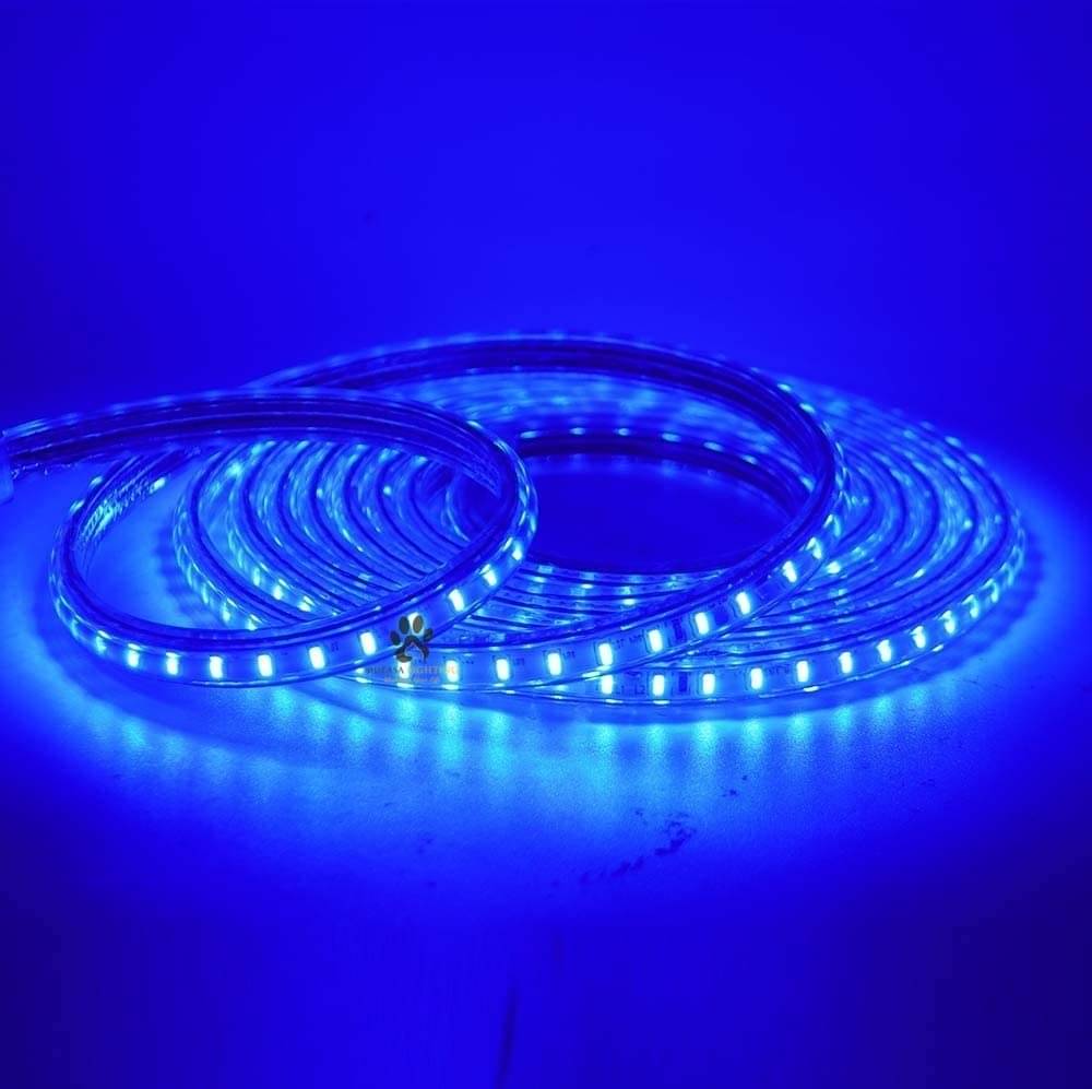     			SPARKWORLD Blue 5M LED Strip ( Pack of 1 )