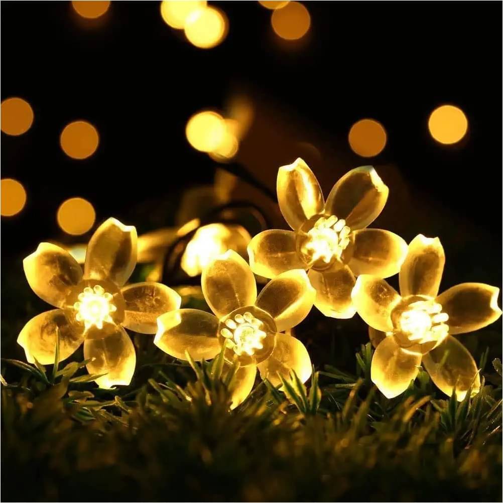     			SPARKWORLD Gold 5M String Light ( Pack of 1 )
