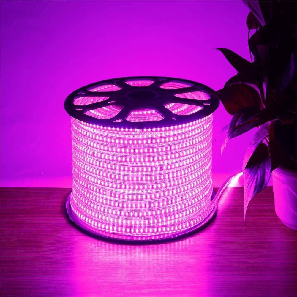     			SPARKWORLD Pink 10 Mtr LED Strip ( Pack of 1 )