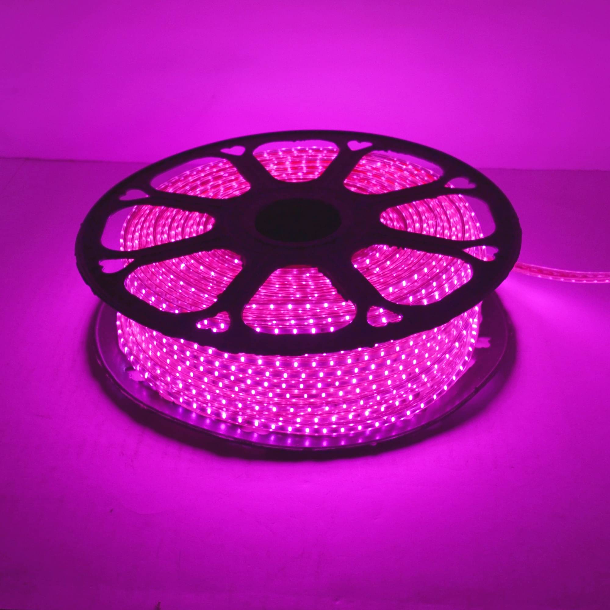     			SPARKWORLD Pink 10 Mtr LED Strip ( Pack of 1 )