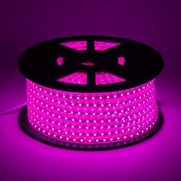    			SPARKWORLD Pink 10 Mtr LED Strip ( Pack of 1 )