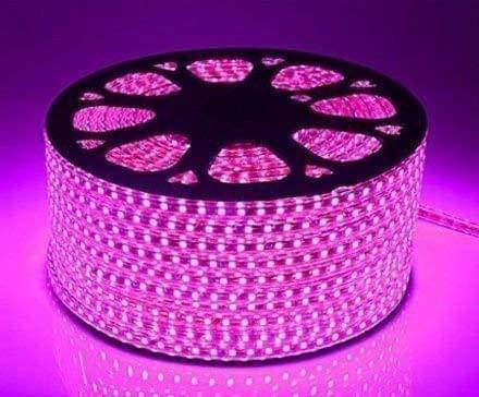     			SPARKWORLD Pink 10 Mtr LED Strip ( Pack of 1 )