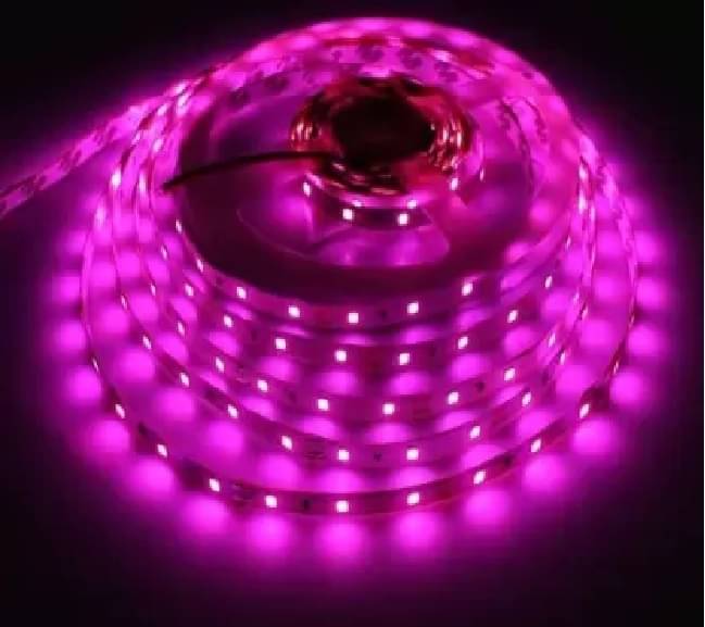     			SPARKWORLD Pink 5M LED Strip ( Pack of 1 )