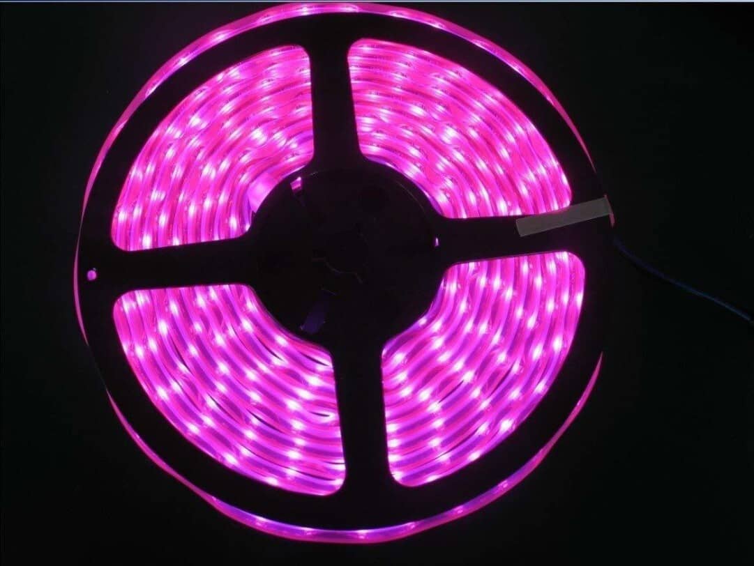 SPARKWORLD Pink 5M LED Strip ( Pack of 1 ) - Electricals | Buy online on ZillyBuy