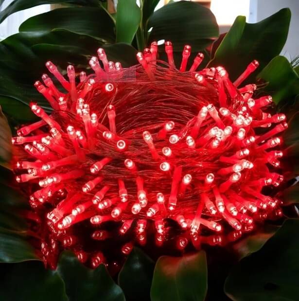     			SPARKWORLD Red 11 Mtr String Light ( Pack of 1 )