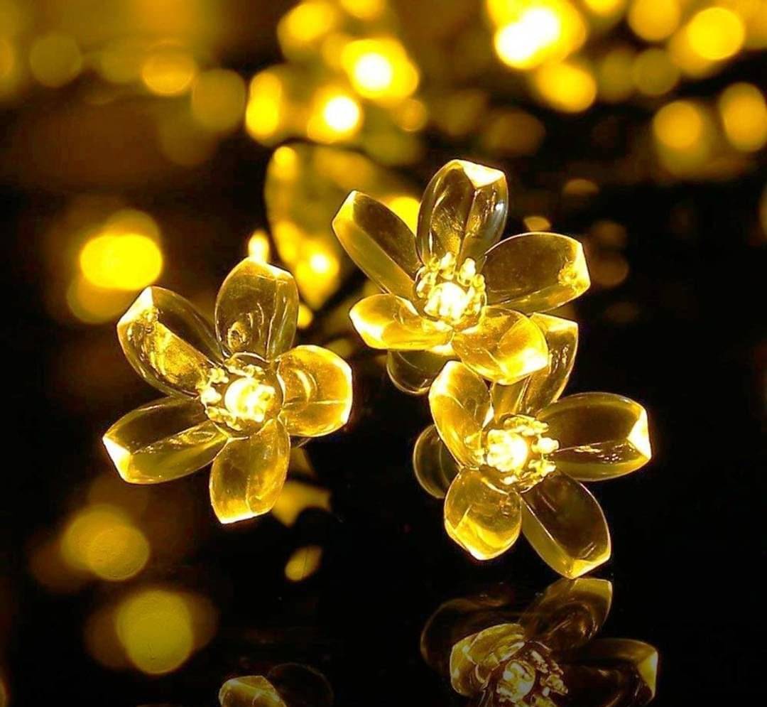     			SPARKWORLD Yellow 3M String Light ( Pack of 1 )