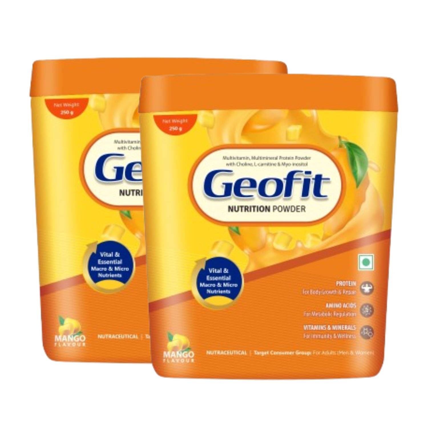 GEOFIT Mango Flavor Protein Powder | Supports Muscle Recovery and Growth | 250g, Pack of 2 GEOFIT Mango Flavor Protein Powder | Supports Muscle Recovery and Growth | 250g, Pack of 2