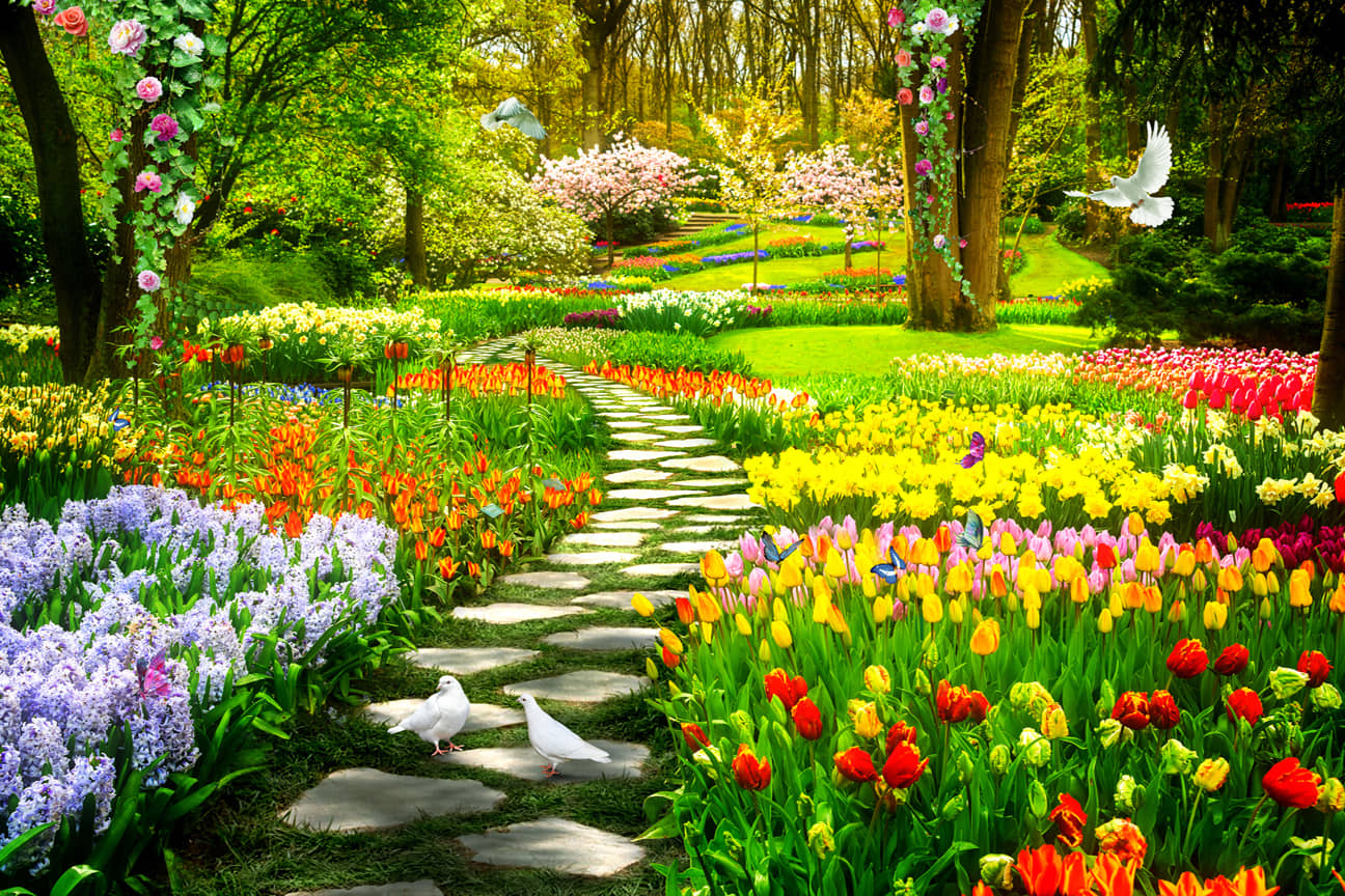 Manas Nature Wallpaper ( 60 x 90 ) cm ( Pack of 1 )