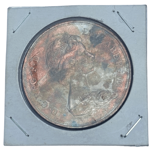     			RARE TO FIND BIG FOREING COIN