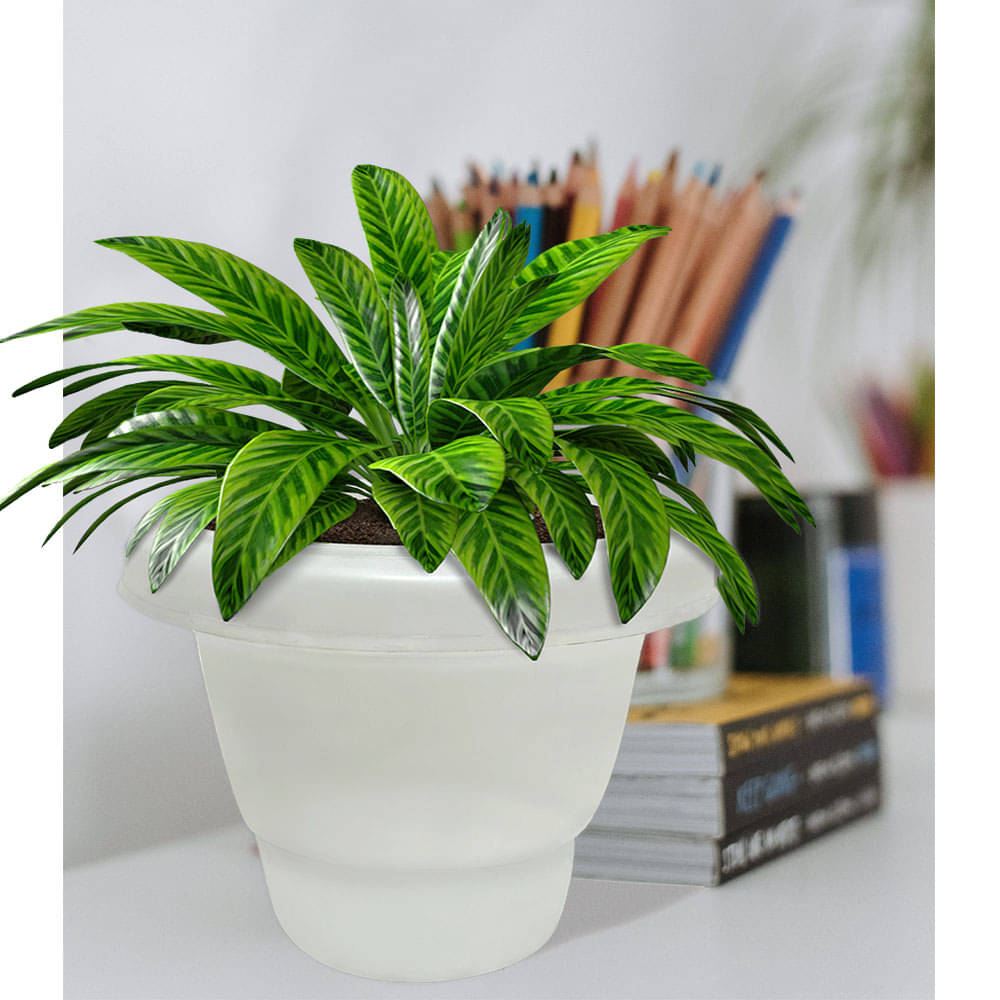 PHILOSHOP Plastic Flower Pots for Home Decoration Indoor Plant Pots Gardening Pots (Pack of 1 - Any-Multicolor) PHILOSHOP Plastic Flower Pots for Home Decoration Indoor Plant Pots Gardening Pots (Pack of 1 - Any-Multicolor)