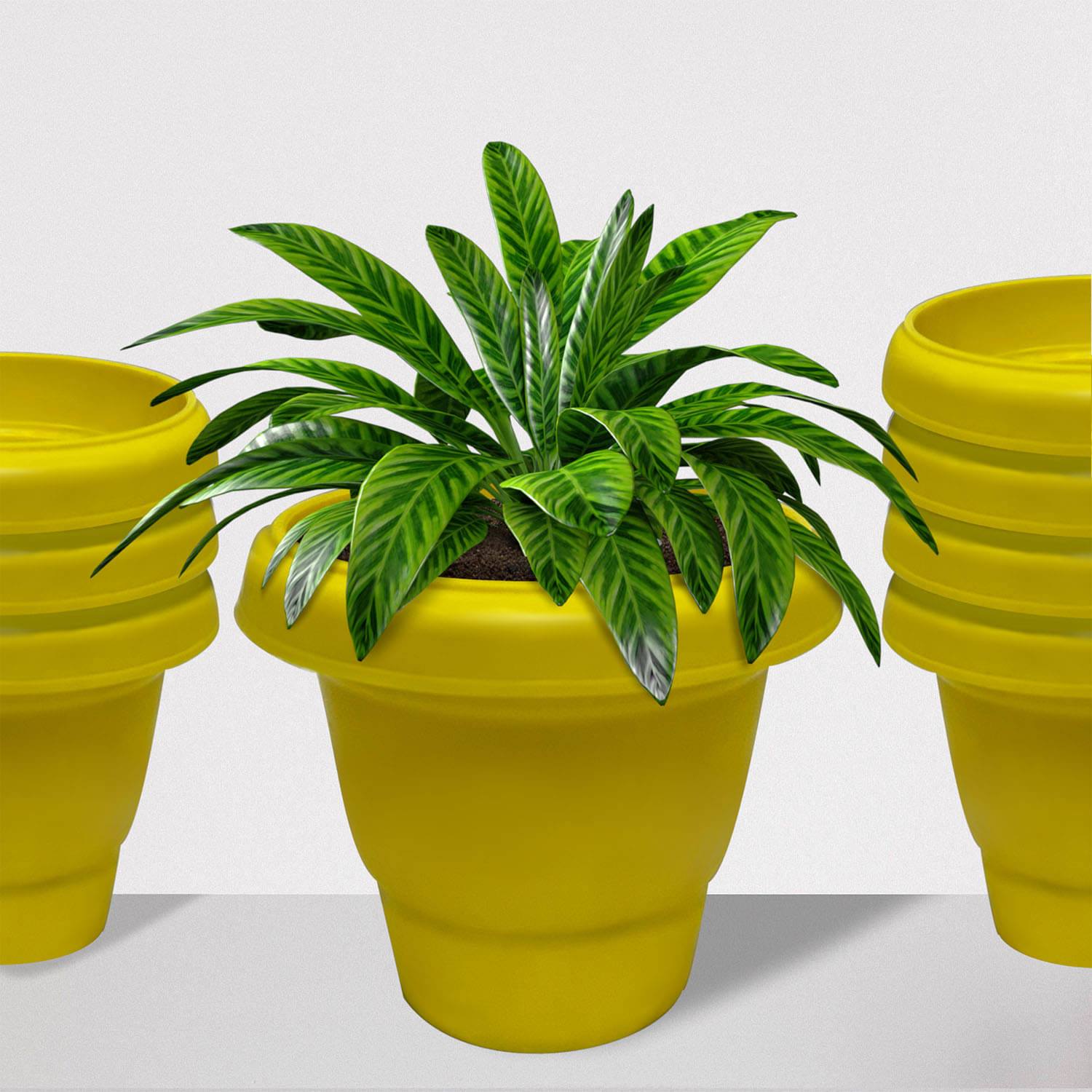     			PHILOSHOP Plastic Flower Pots for Home Decoration Indoor Plant Pots Gardening Pots (Pack of 8 - Any-Multicolor)