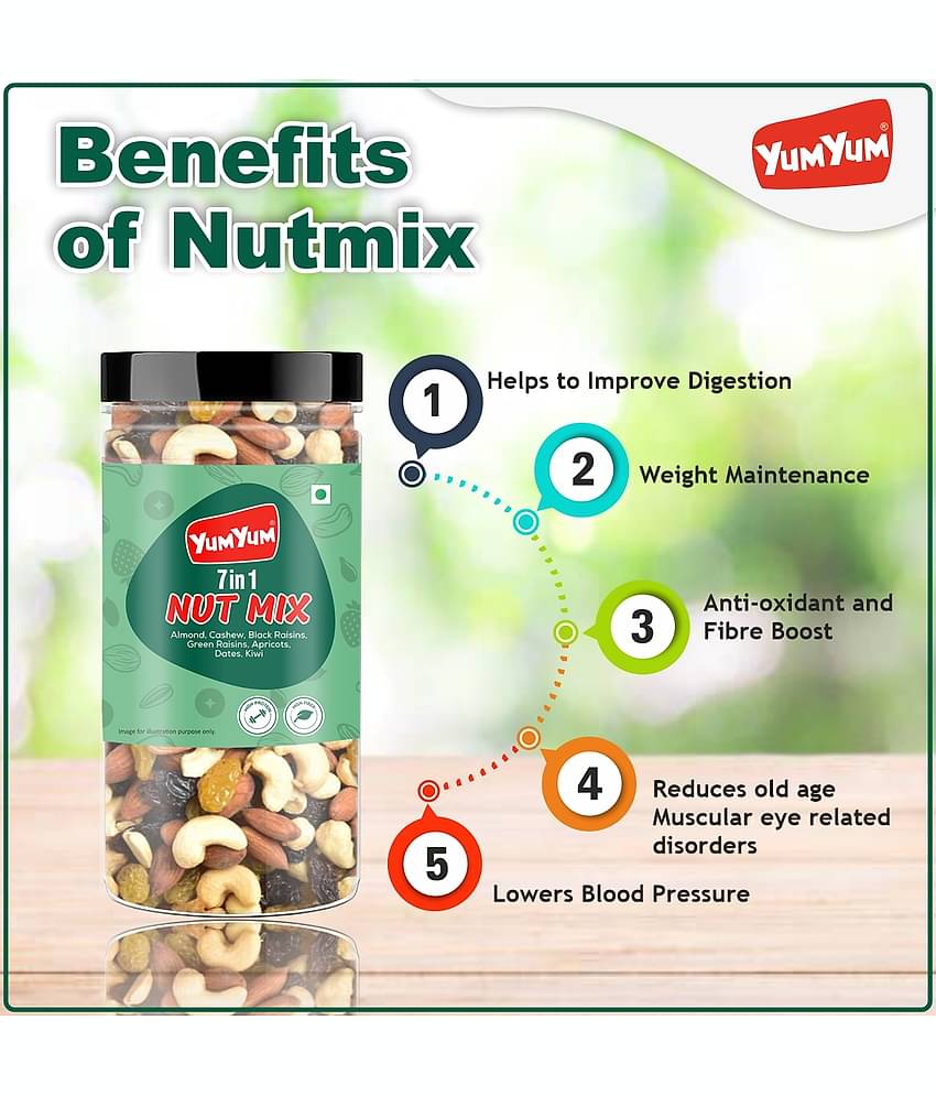 YUM YUM Healthy Mix Nuts, Seeds, and Berries Combo | Dry Fruits Trail Mix - Assorted Nuts (500 g)