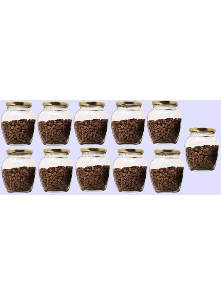 1st Time Glass Container Jar Glass Transparent Utility Container ( Set of 11 ) 1st Time Glass Container Jar Glass Transparent Utility Container ( Set of 11 )