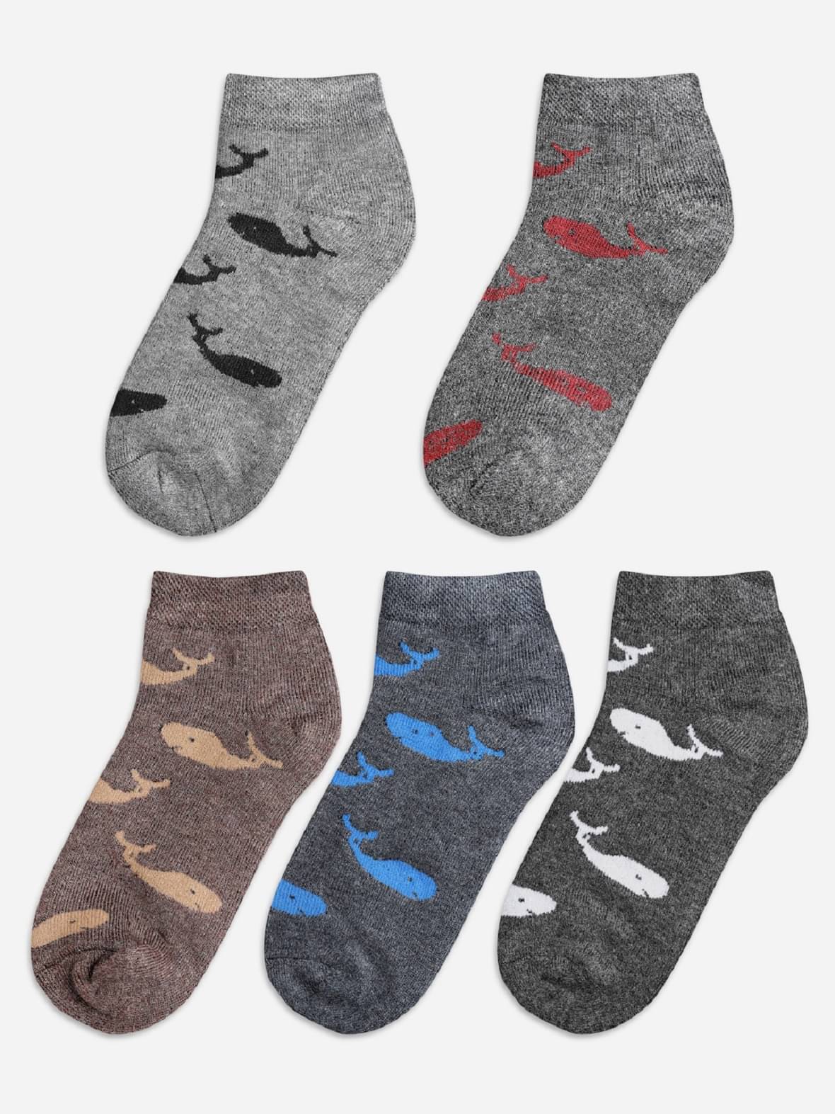     			Texlon Multicolor Woollen Boy's Ankle Length Socks ( Pack of 5 )