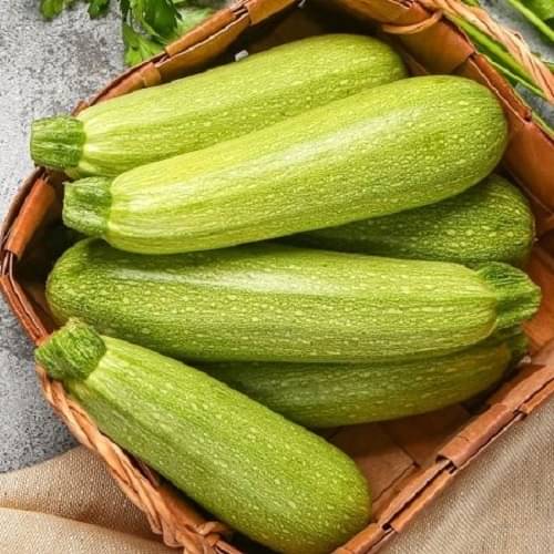 Jignisha Seeds Zucchini Vegetable ( 10 Seeds ) Jignisha Seeds Zucchini Vegetable ( 10 Seeds )