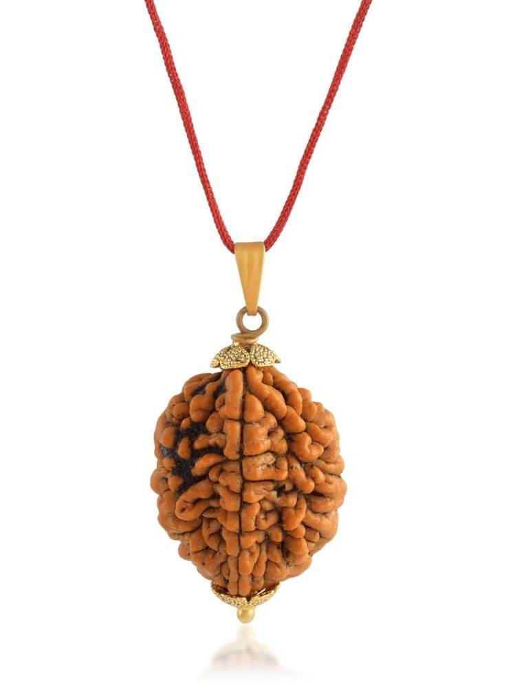 ADMIER Brown Pendant ( Pack of 1 ) ADMIER Brown Pendant ( Pack of 1 )
