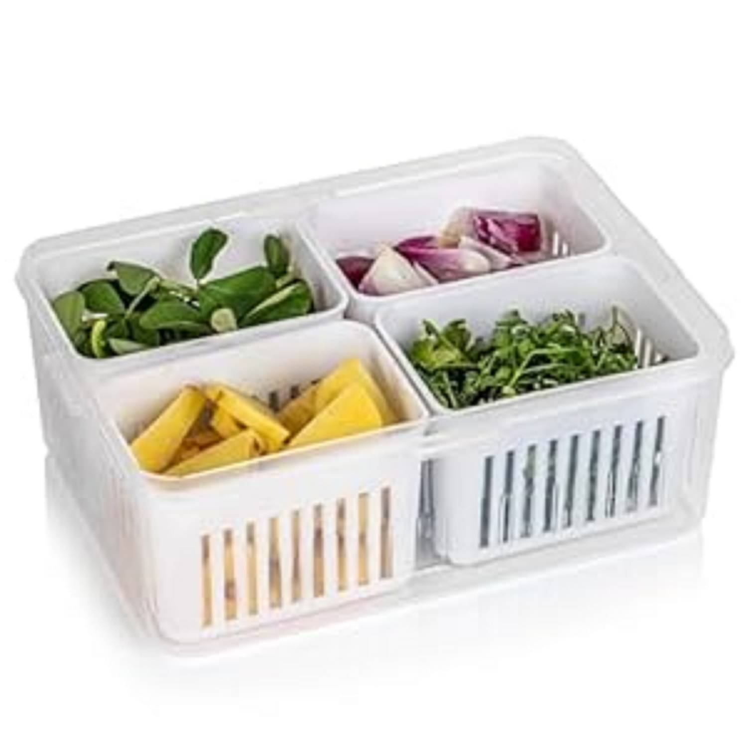 GKBOSS Plastic Multicolor Food Container ( Set of 1 ) GKBOSS Plastic Multicolor Food Container ( Set of 1 )