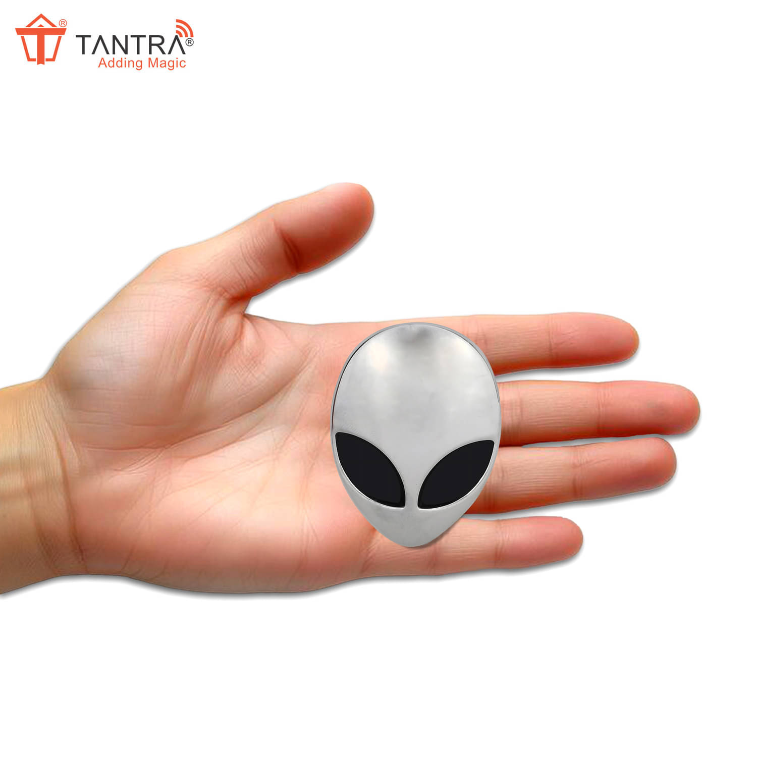 Tantra 3D Logo In Car Sticker Silver Tantra 3D Logo In Car Sticker Silver