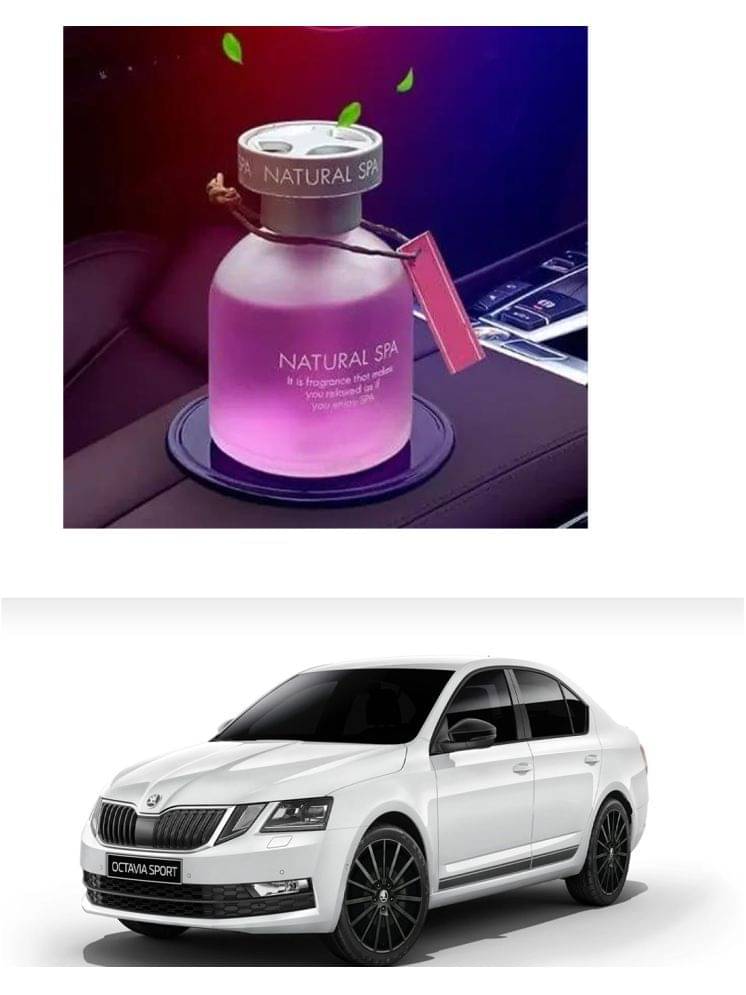 Genric Car Air Purifier Air Freshner Octavia Assorted Genric Car Air Purifier Air Freshner Octavia Assorted