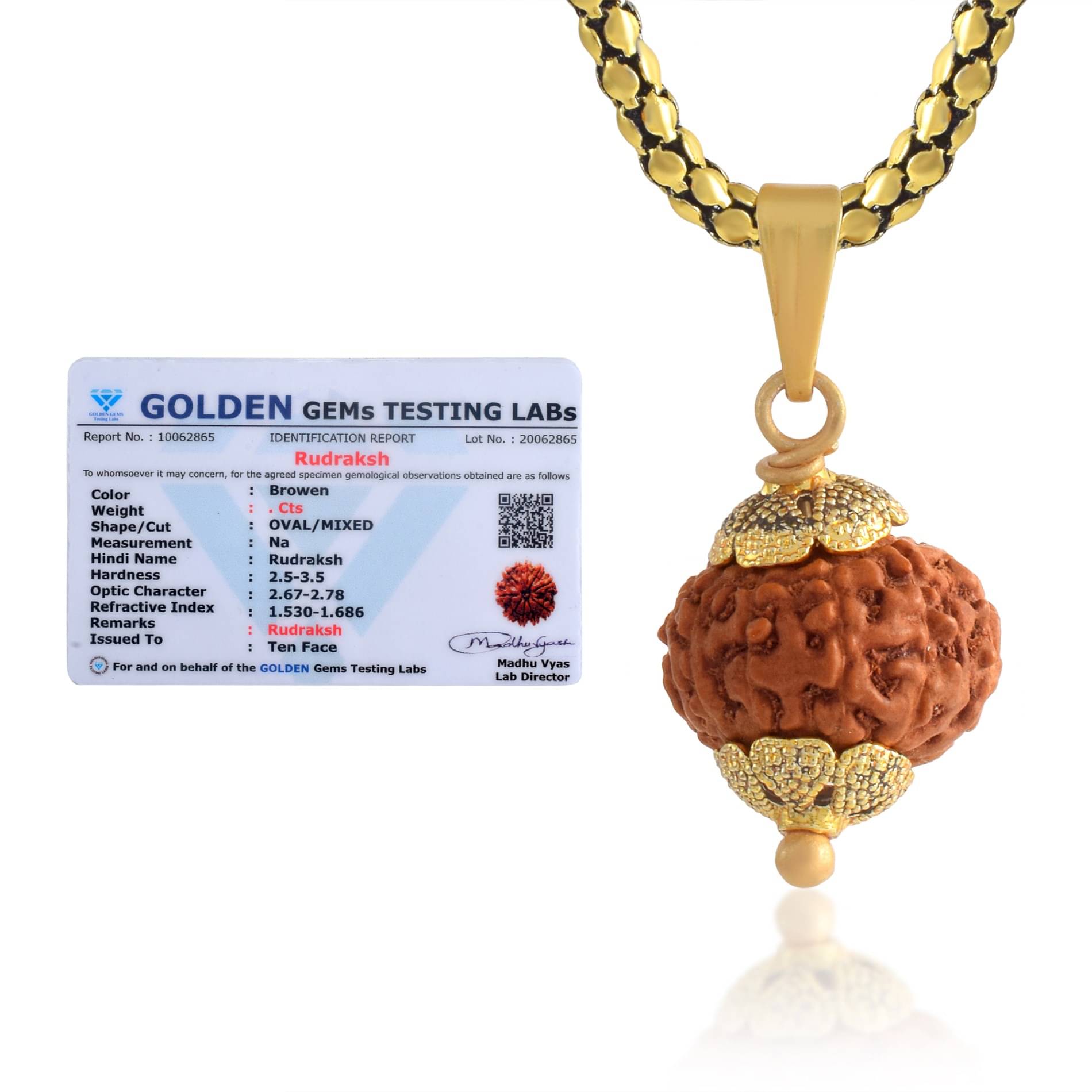     			ADMIER 10 Mukhi Rudraksha Pendant With Chain ( Pack of 1 )