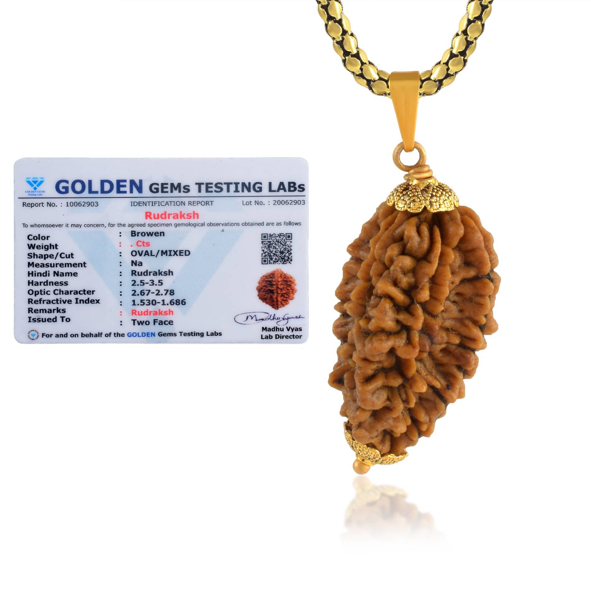     			ADMIER 2 Mukhi Rudraksha Pendant With Chain ( Pack of 1 )