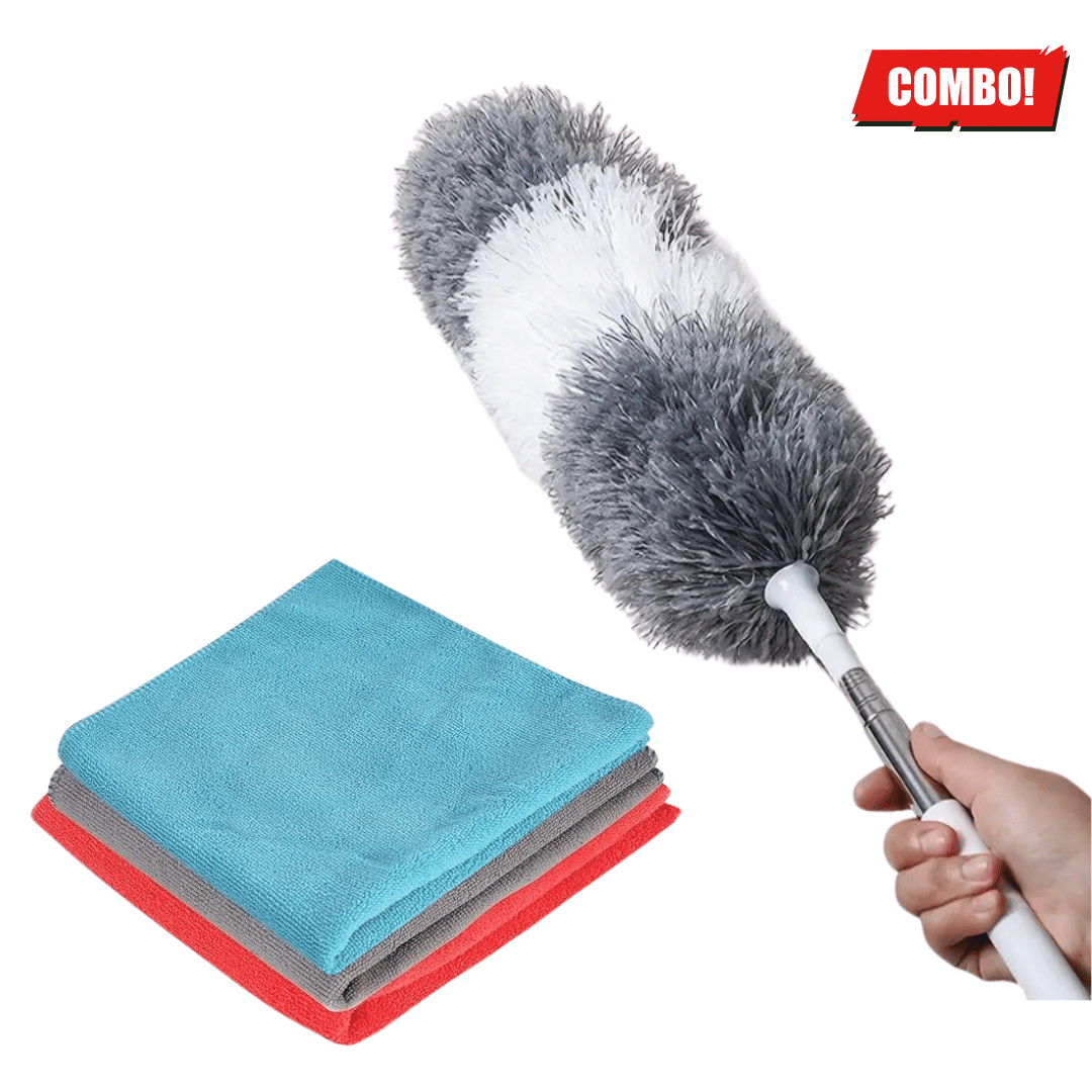     			PROGIENCE - Brush ( Pack of 3 )