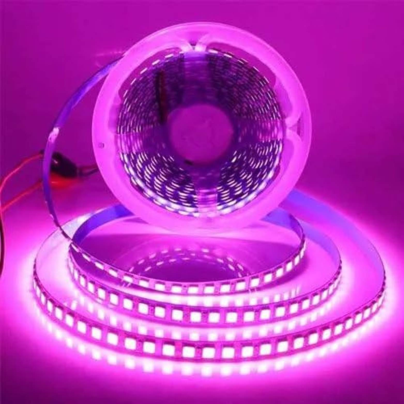     			Spark World Pink 5M Neon Light ( Pack of 1 )