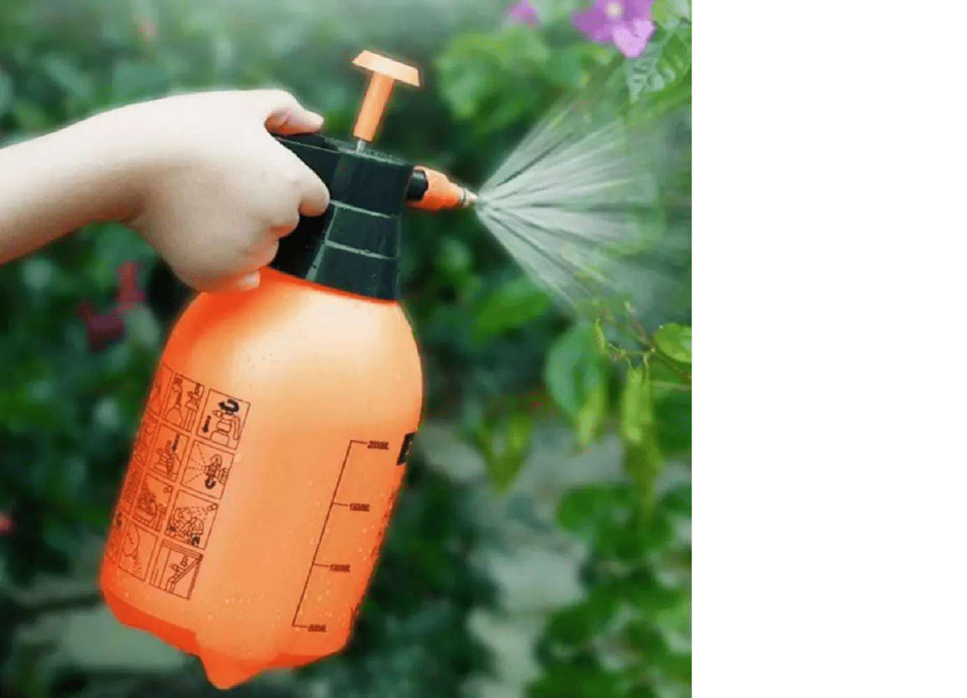     			Greenery Hand Held Sprayer ( Pack of 1 )
