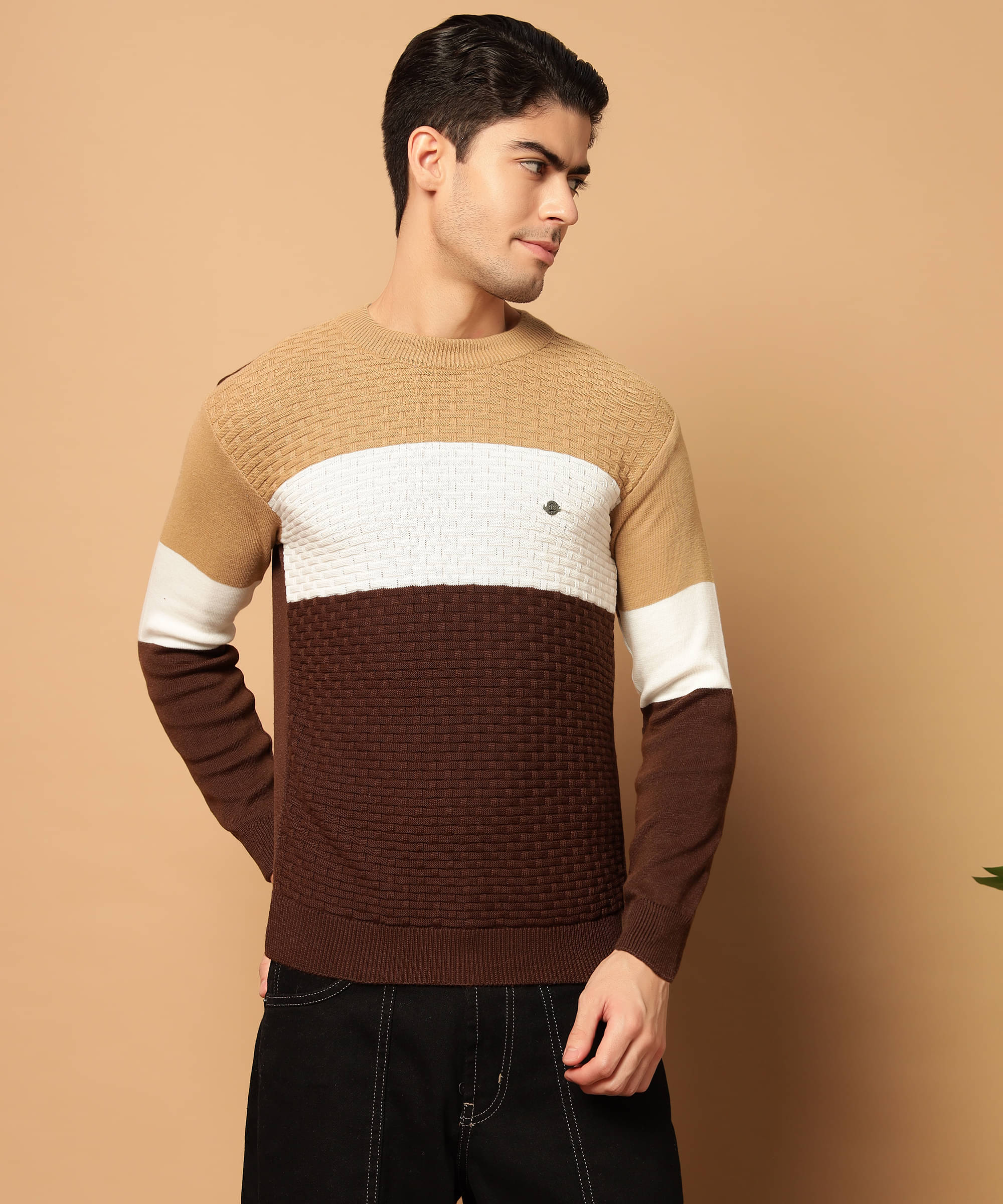     			HELL BOUND Woollen Round Neck Men's Full Sleeves Pullover Sweater - Brown ( Pack of 1 )