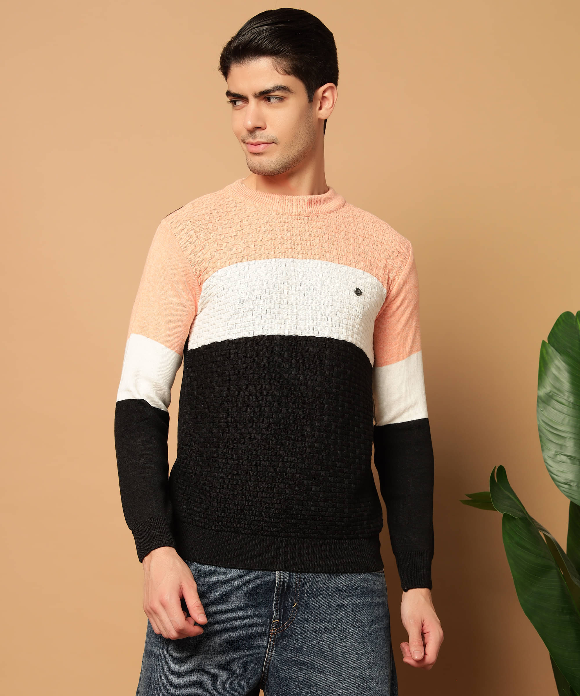 HELL BOUND Woollen Round Neck Men's Full Sleeves Pullover Sweater - Peach ( Pack of 1 ) HELL BOUND Woollen Round Neck Men's Full Sleeves Pullover Sweater - Peach ( Pack of 1 )