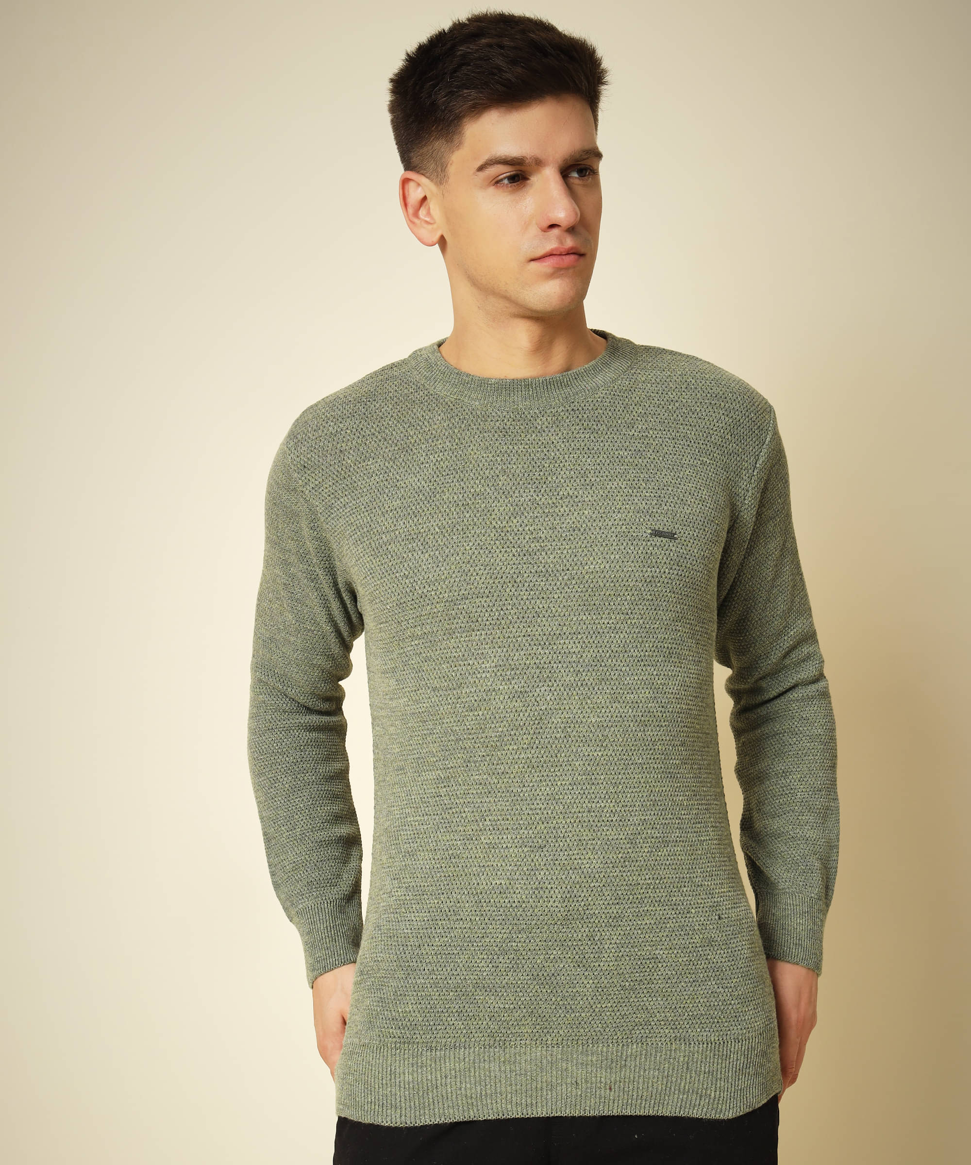     			HELL BOUND Woollen Round Neck Men's Full Sleeves Pullover Sweater - Green ( Pack of 1 )