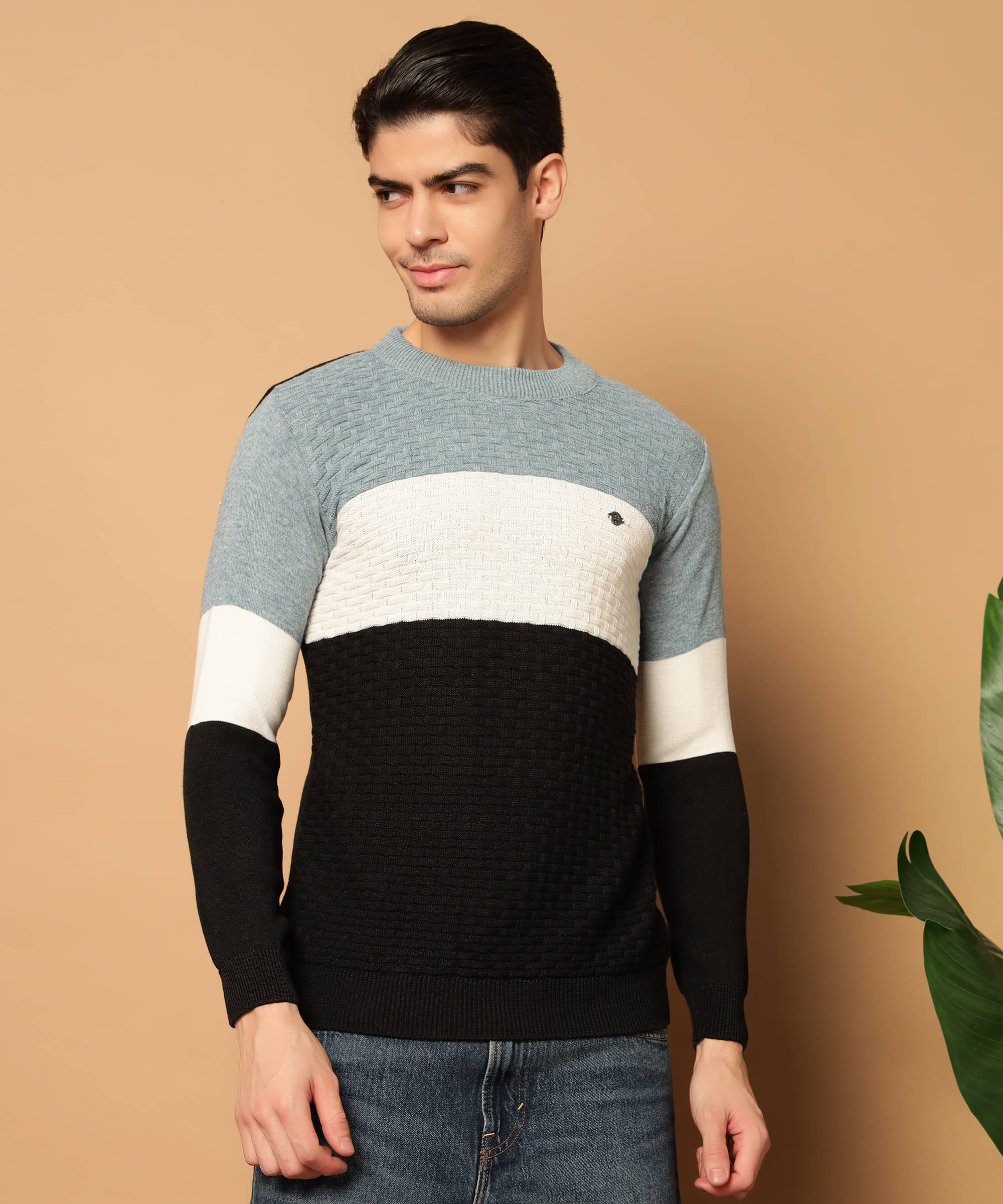 HELL BOUND Woollen Round Neck Men's Full Sleeves Pullover Sweater - Blue ( Pack of 1 ) HELL BOUND Woollen Round Neck Men's Full Sleeves Pullover Sweater - Blue ( Pack of 1 )