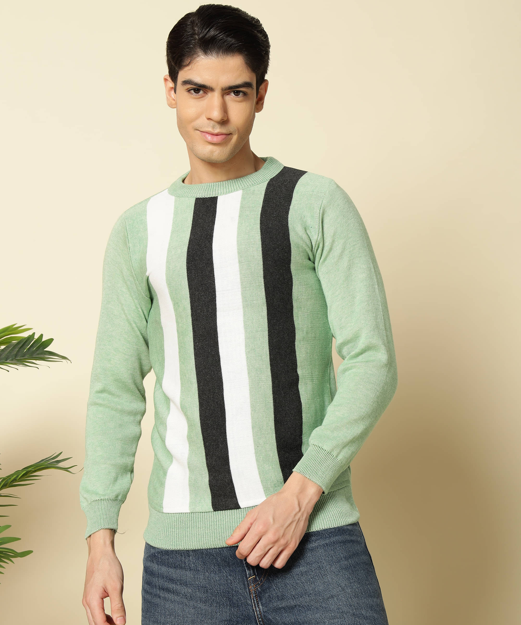 HELL BOUND Woollen Round Neck Men's Full Sleeves Pullover Sweater - Mint Green ( Pack of 1 ) HELL BOUND Woollen Round Neck Men's Full Sleeves Pullover Sweater - Mint Green ( Pack of 1 )