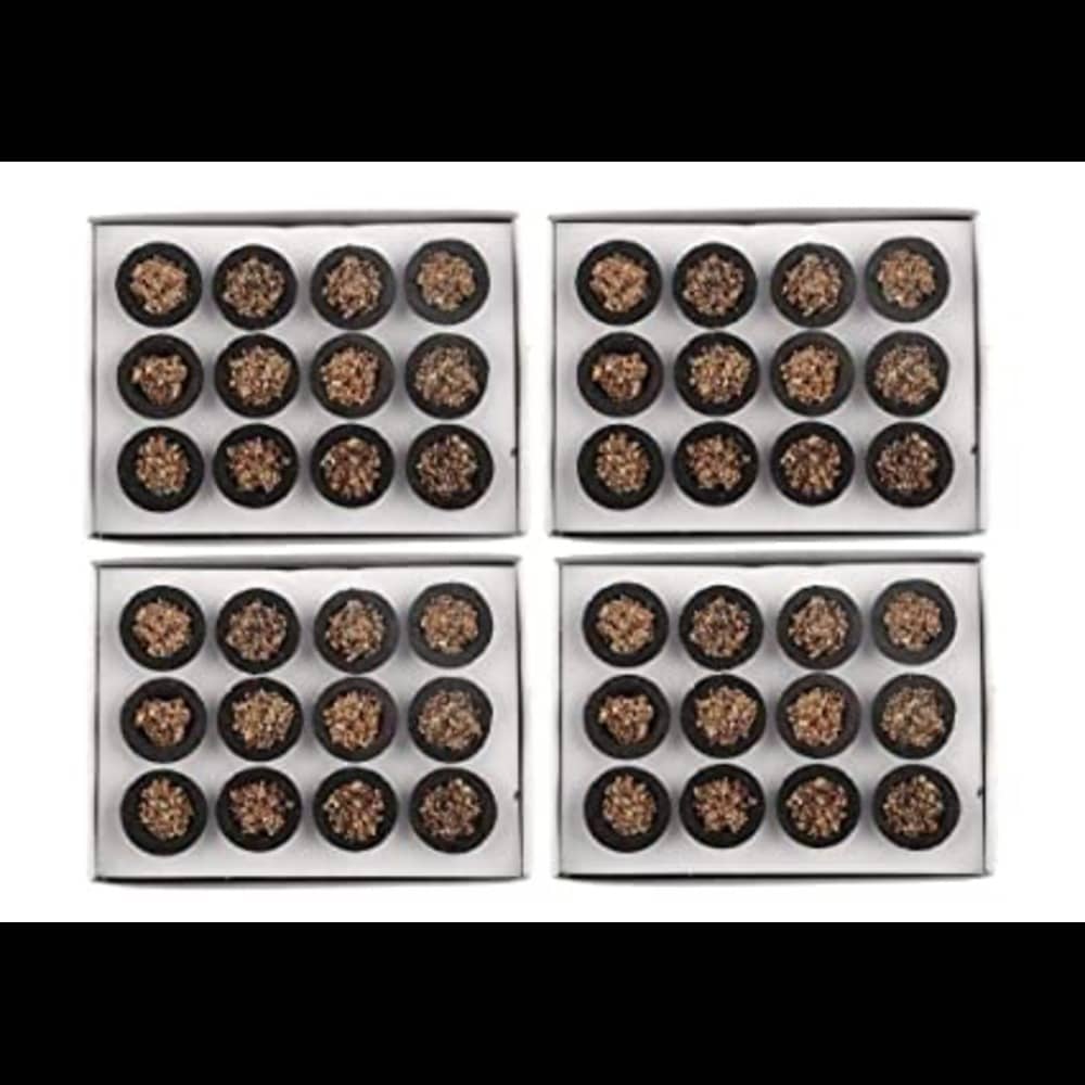 PICKARTME Dhoop Sambrani 48 Havan Cups ( Pack of 4 , Each Pack with 12 Cups)