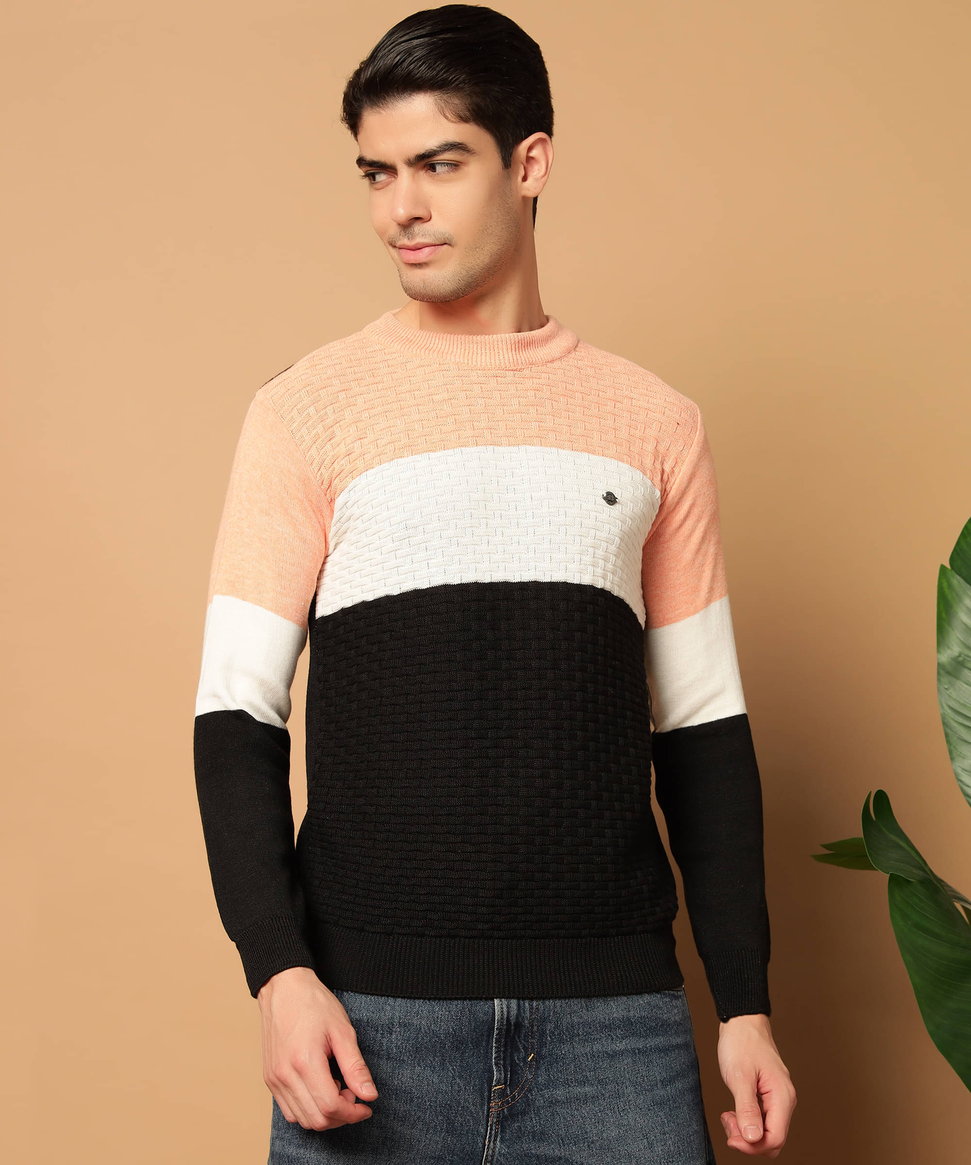 HELL BOUND Woollen Round Neck Men's Full Sleeves Pullover Sweater - Peach ( Pack of 1 ) HELL BOUND Woollen Round Neck Men's Full Sleeves Pullover Sweater - Peach ( Pack of 1 )