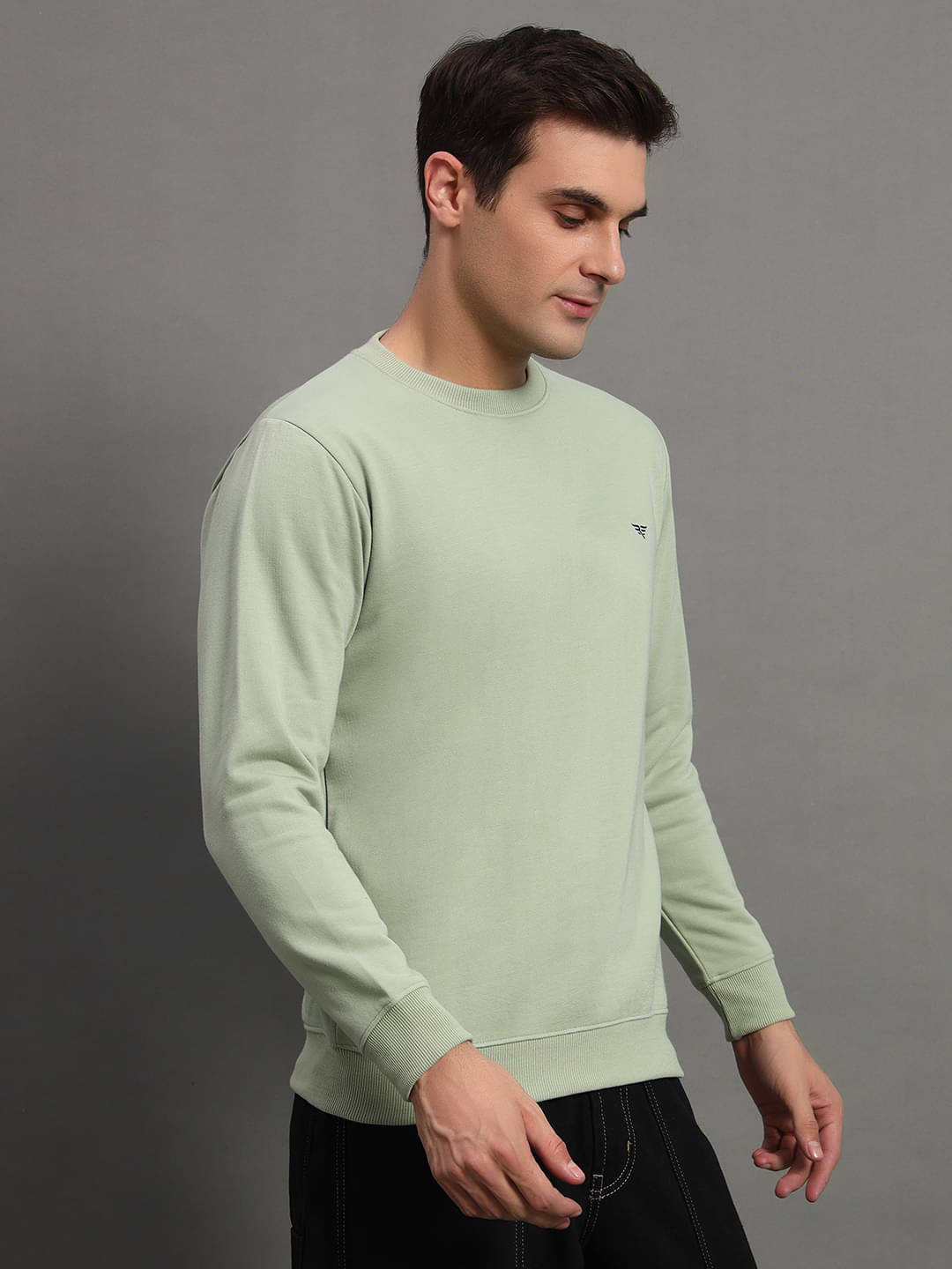 Riss Cotton Blend Round Neck Men's Sweatshirt - Sea Green ( Pack of 1 ) Riss Cotton Blend Round Neck Men's Sweatshirt - Sea Green ( Pack of 1 )