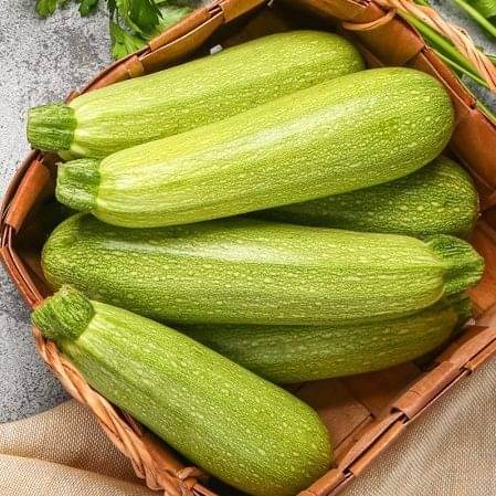 Jignisha Seeds Hybrid Light Green Zucchini Vegetable ( 10 Seeds ) Jignisha Seeds Hybrid Light Green Zucchini Vegetable ( 10 Seeds )