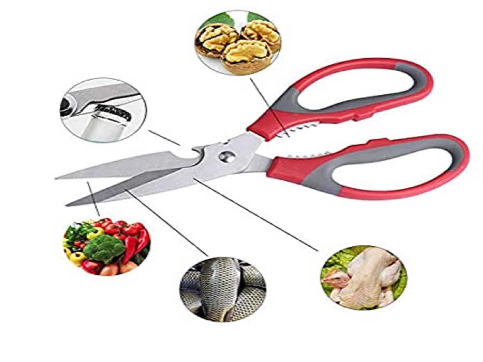 Cailyn Stainless Steel Multipurpose Scissors ( Pack of 1 ) Cailyn Stainless Steel Multipurpose Scissors ( Pack of 1 )