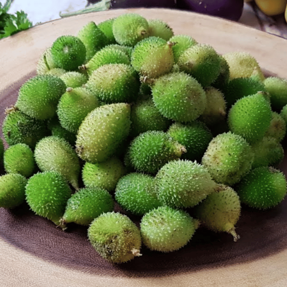     			Jignisha Seeds Momordica Dioica (Spiny Gourd) Vegetable ( 20 Seeds )