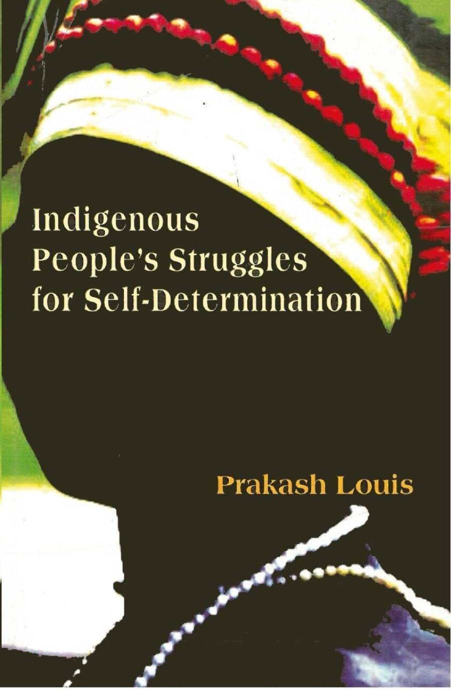     			Indigenous People's Struggles For Self