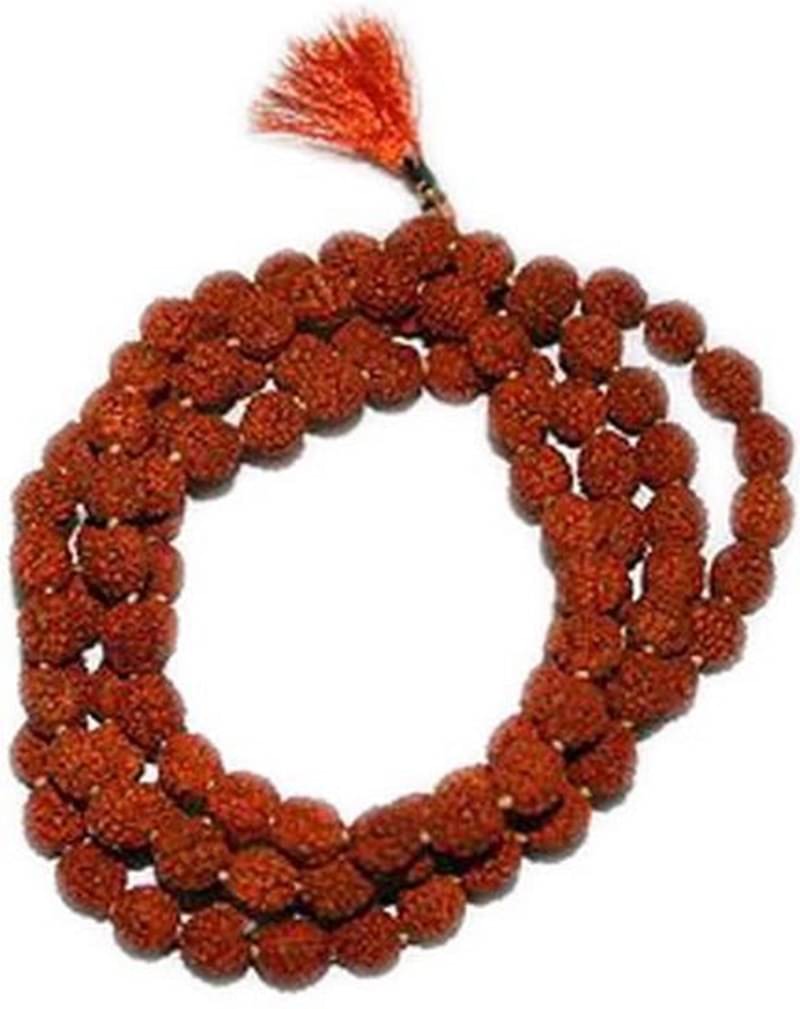     			Shri Astha Vinayak 5 Mukhi Rudraksha Bead ( Pack of 1 )