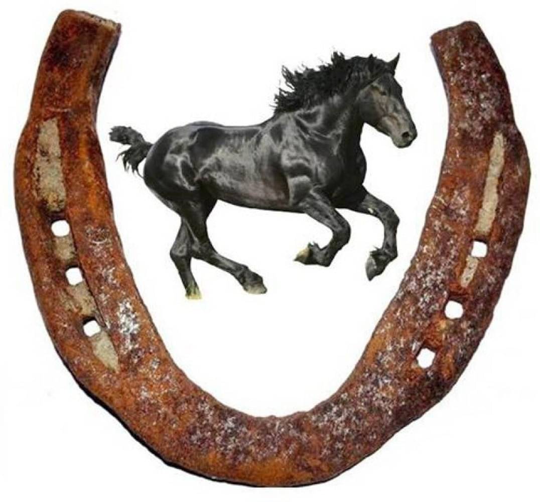     			Shri Astha Vinayak Iron Horse Shoe Ring